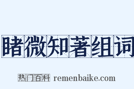 睹微知著组词是什么意思的图片